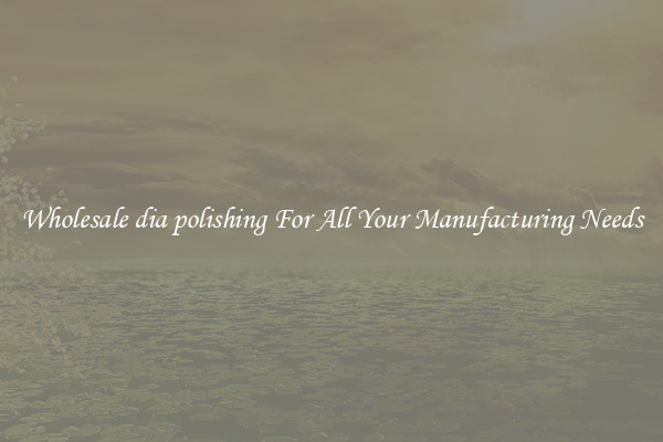 Wholesale dia polishing For All Your Manufacturing Needs