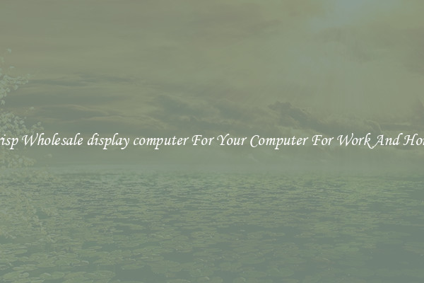 Crisp Wholesale display computer For Your Computer For Work And Home
