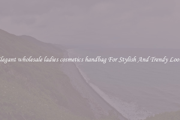 Elegant wholesale ladies cosmetics handbag For Stylish And Trendy Looks