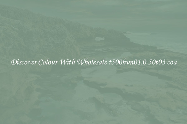 Discover Colour With Wholesale t500hvn01.0 50t03 coa