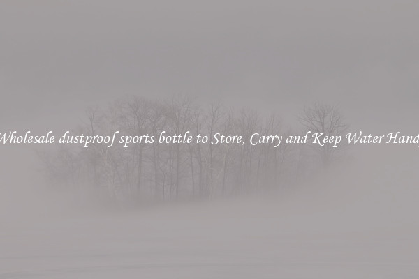 Wholesale dustproof sports bottle to Store, Carry and Keep Water Handy