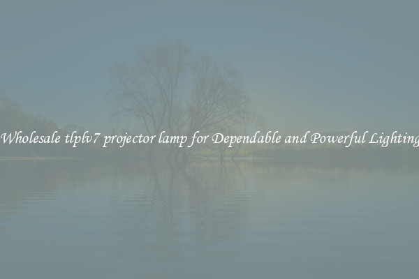 Wholesale tlplv7 projector lamp for Dependable and Powerful Lighting