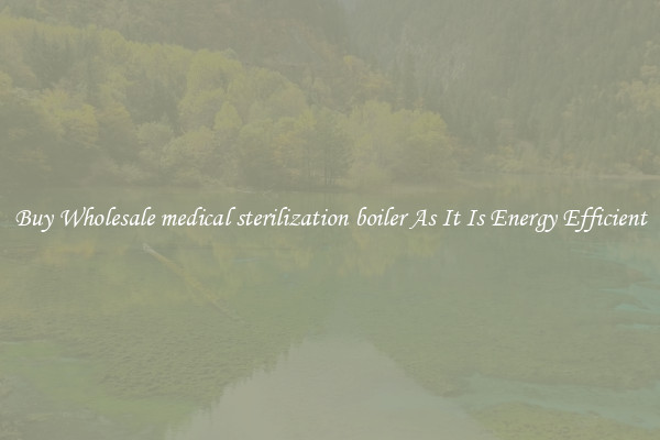Buy Wholesale medical sterilization boiler As It Is Energy Efficient