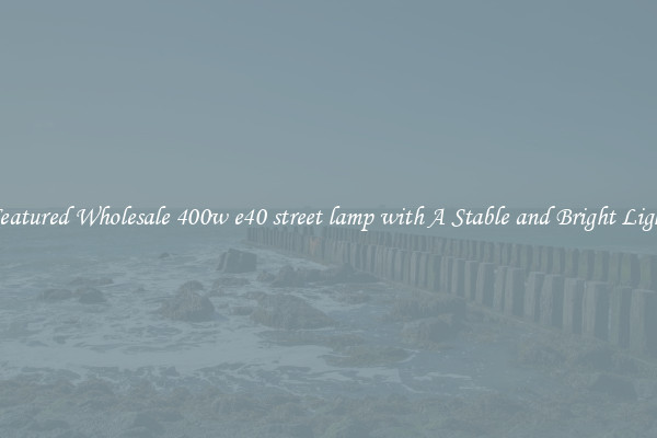 Featured Wholesale 400w e40 street lamp with A Stable and Bright Light