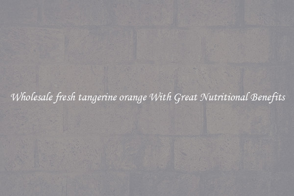 Wholesale fresh tangerine orange With Great Nutritional Benefits