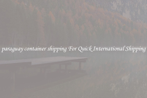 paraguay container shipping For Quick International Shipping