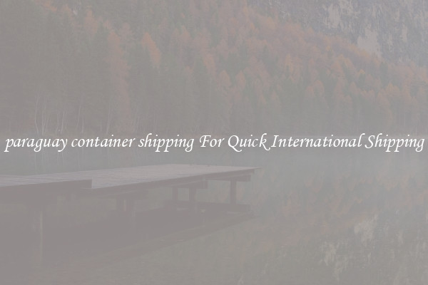 paraguay container shipping For Quick International Shipping