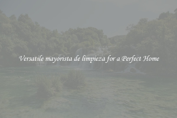 Versatile mayorista de limpieza for a Perfect Home