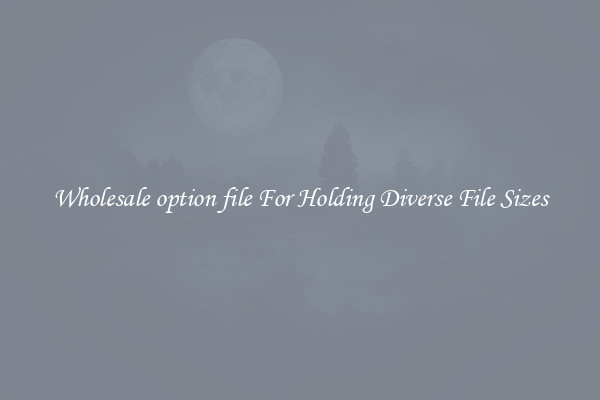 Wholesale option file For Holding Diverse File Sizes