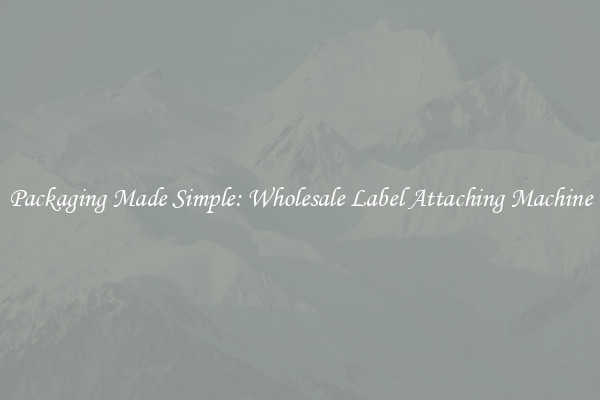 Packaging Made Simple: Wholesale Label Attaching Machine