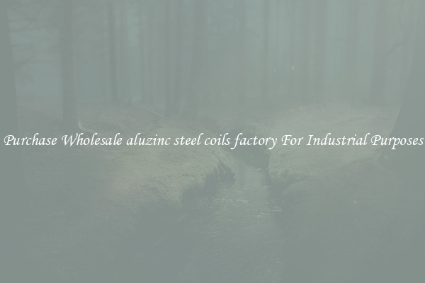 Purchase Wholesale aluzinc steel coils factory For Industrial Purposes