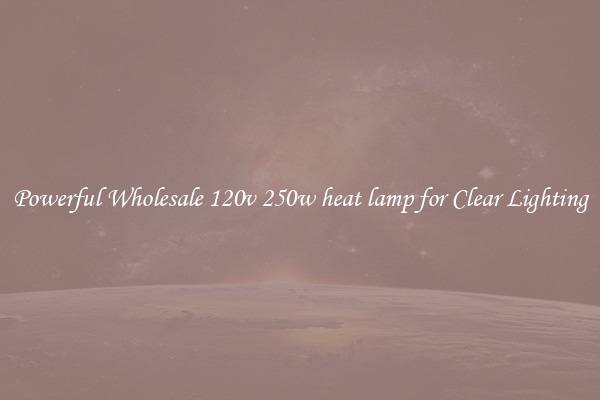 Powerful Wholesale 120v 250w heat lamp for Clear Lighting