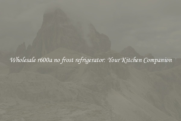Wholesale r600a no frost refrigerator: Your Kitchen Companion