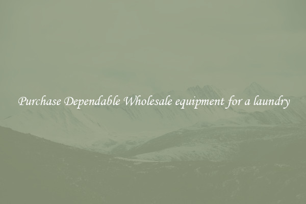 Purchase Dependable Wholesale equipment for a laundry