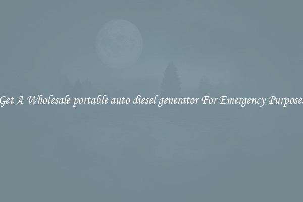 Get A Wholesale portable auto diesel generator For Emergency Purposes