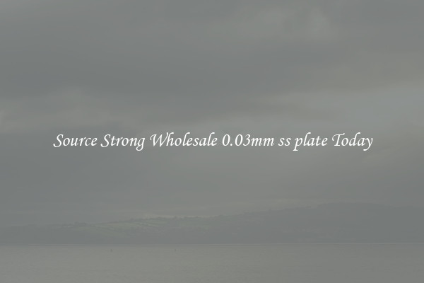 Source Strong Wholesale 0.03mm ss plate Today