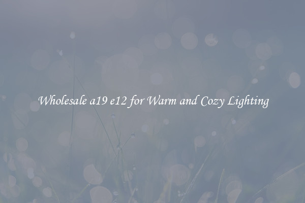 Wholesale a19 e12 for Warm and Cozy Lighting