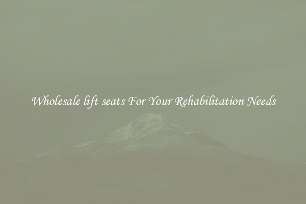 Wholesale lift seats For Your Rehabilitation Needs