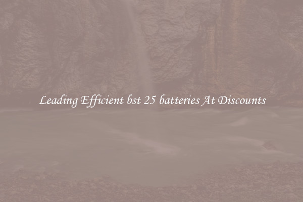 Leading Efficient bst 25 batteries At Discounts