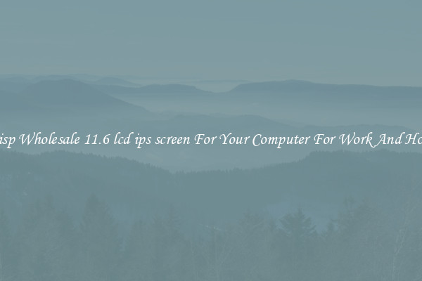 Crisp Wholesale 11.6 lcd ips screen For Your Computer For Work And Home