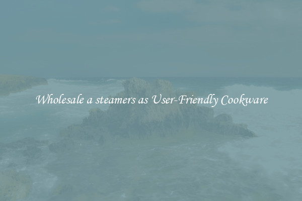 Wholesale a steamers as User-Friendly Cookware
