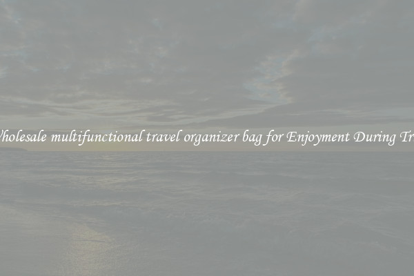 Wholesale multifunctional travel organizer bag for Enjoyment During Trips
