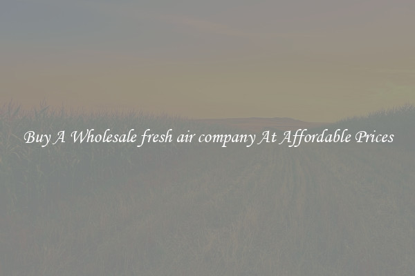 Buy A Wholesale fresh air company At Affordable Prices