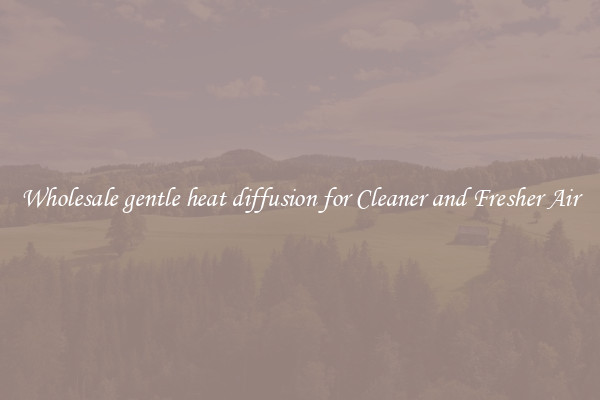 Wholesale gentle heat diffusion for Cleaner and Fresher Air