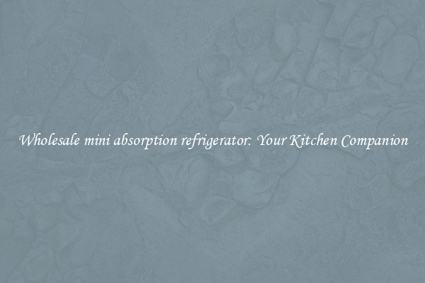 Wholesale mini absorption refrigerator: Your Kitchen Companion