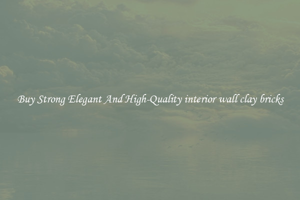Buy Strong Elegant And High-Quality interior wall clay bricks
